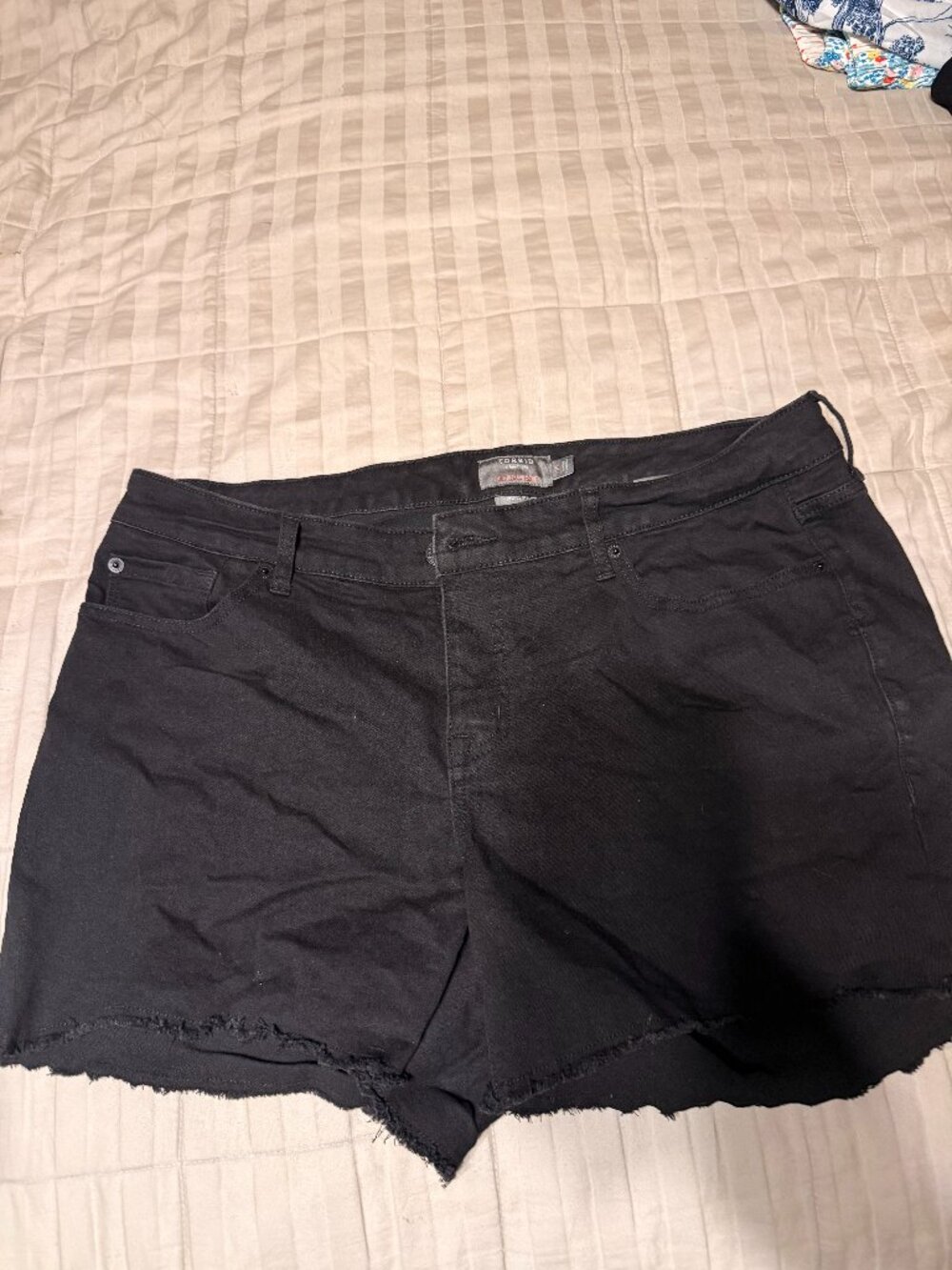 Torrid Vintage Stretch short (KC Stock # 136)